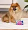 FLORIDA лакомство для собак Пудинг для собак с уткой #4