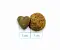 Forza10 Active VetDiet URINARY сухой диетический корм для взрослых кошек при заболеваниях мочевыводящих путей #3
